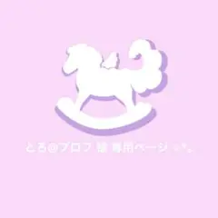〖 とろ@プロフ 様 〗専用ページ