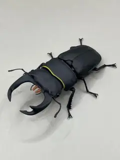 いきもの大図鑑クワガタ03 オオクワガタリペイント品