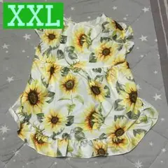 Item thumbnail for item da336d97-54a4-440f-90bf-2eb91e9827de