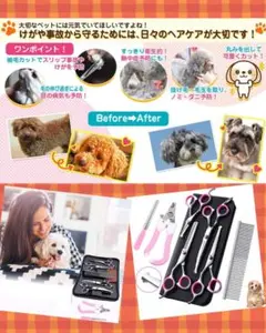 Item thumbnail for item abb928c3-1415-40bb-a46f-84126a9e2570