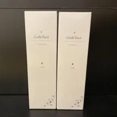 Item thumbnail for item 1784e120-f497-4241-a285-4b1ca49958e9