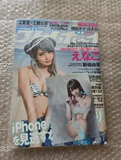 【新品未開封】プレイボーイ えなこ 特典生写真付き