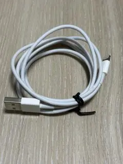 Lightningケーブル USB-A to Lightning Apple