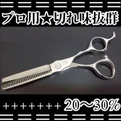 Item thumbnail for item 4127bfe0-f979-4a77-a49d-36932538de24