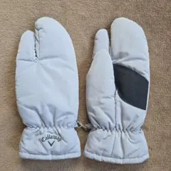 Item thumbnail for item c3995b7b-f757-48dc-8162-e63fbf636afa