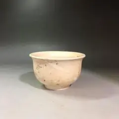 Item thumbnail for item a19f6572-d48b-482c-bbb9-9656b77bfd46