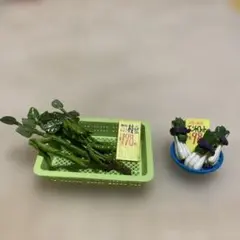 Item thumbnail for item ba5c8ae6-a58d-46e1-baa1-406dc6183a28