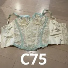 Item thumbnail for item 38516767-b6f6-408e-a7ed-65e2501daf76