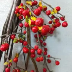 ドライフラワーウメモドキ