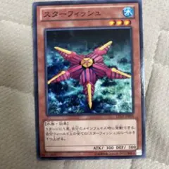スターフィッシュ