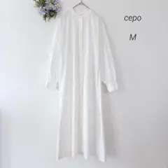 Item thumbnail for item 44f8c138-ba4b-454a-8c55-f16bdfbbe111