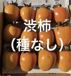 渋柿(種なし)干し柿用