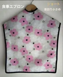 Item thumbnail for item 1060d96b-8dbd-428d-b493-cb0e27653dbe