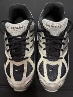 [NIKE エアズーム　ペガサス2005]