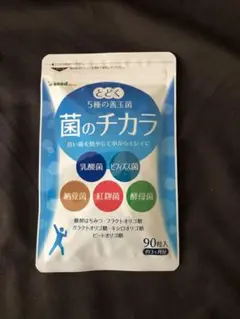 とどく5種の善玉菌 菌のチカラ 90粒入