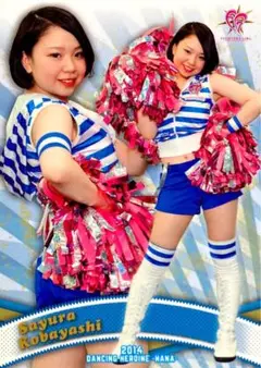 Item thumbnail for item 7dd3afab-3ca3-42f9-8aa9-97b1865e99e0