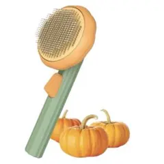 Item thumbnail for item 3a62653b-9a2d-4e83-820f-572dfe5c2b55