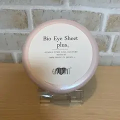 Item thumbnail for item 39eaf0b8-ccea-49d4-bf2d-3cf74f14eacd