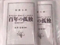 【2枚入り】百年の孤独 池澤夏樹監修 読み解き支援キット