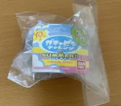 ガチャピンチャレンジ　イン　サマー
