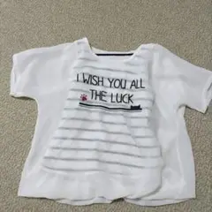 ストライプ シアーTシャツ 130センチ