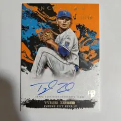 Item thumbnail for item c4384337-e65d-431c-9d1d-73de0fb6e243