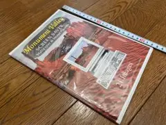 Item thumbnail for item e9c36d8b-079b-47cc-82f5-9d7fb42aad7a