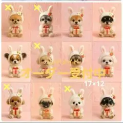 ハンドメイド　オーダー受付ページ　　♡うさみみプレゼントわんこ　パネル♡