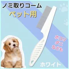 Item thumbnail for item 109e83f3-ce82-49c2-b3d1-be4fcfa32824