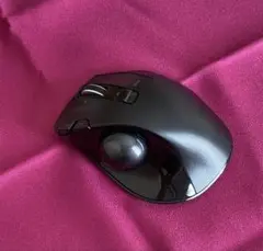 Item thumbnail for item 89534391-9f8e-4373-9a12-240b0ff9a4d2