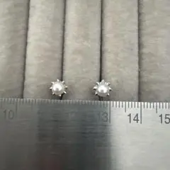 Item thumbnail for item 647eff52-420b-4a59-89c7-821a94bb5e67