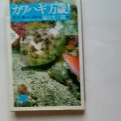 カワハギ万歳! : 釣った、食った、はまった