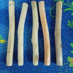 Item thumbnail for item fbf4e825-da28-4827-b8c9-b044ad1f84d4