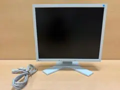 EIZO FlexScan S1934-HGY