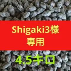 2025年最新】生ハスカップの人気アイテム - メルカリ