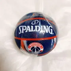 NBA ワシントンウィザーズwizards SPALDINGミニバスケットボール