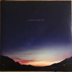 Jon Hopkins – Singularity アナログレコード LP
