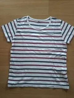 ストライプ 綿 Tシャツ 3L