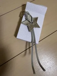 DIOR スターキーチャーム