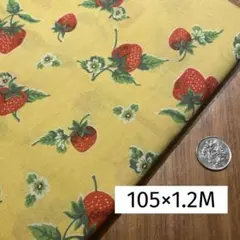 Mrs.March's collection the30sルシアン廃盤　イチゴ柄