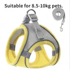 Item thumbnail for item aaa0571e-a0c0-40a3-addb-7b40573d2c31