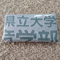 Item thumbnail for item a5ad834a-26a4-4a31-b7bd-3dd96929dc50