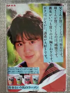新品　斉藤由貴　オマージュアルミプレートブリキ看板⑦