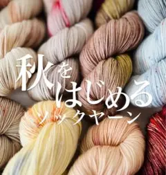 手染め糸◯秋をはじめるソックヤーン◯木かげの湖 (merino80)手染め毛糸