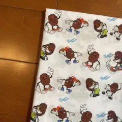 生地　ハギレ　〈カリフォルニアレーズン　ホワイト〉70×50