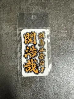 Item thumbnail for item 92262b1e-c453-4697-b45b-3b022cb2a8ee