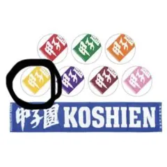 甲子園カラーマフラータオル　高校野球　阪神甲子園球場タオル