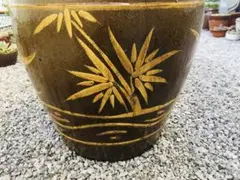 睡蓮鉢 メダカ鉢