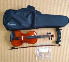 2025年最新】eastman ギターの人気アイテム - メルカリ