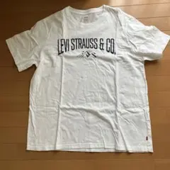 リーバイスTシャツ